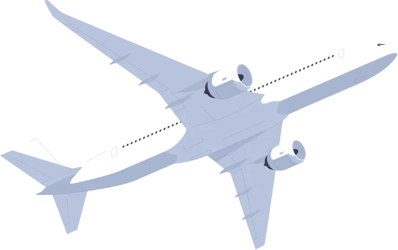 fly shape